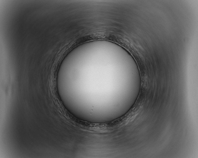 X0000093101201200709260921