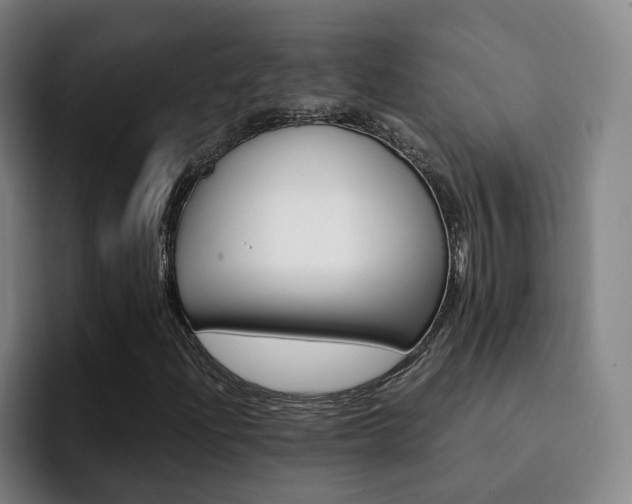 X0000093101204200709260921