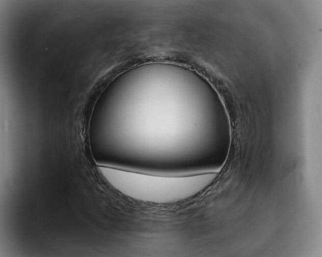 X0000093101206200709260921