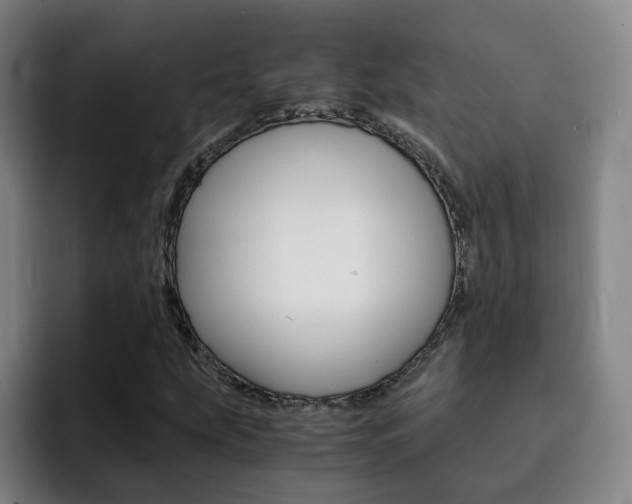 X0000093101207200709260921