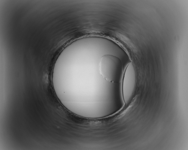 X0000093101209200709260921