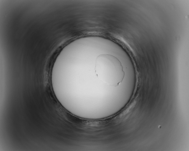 X0000093101211200709260921