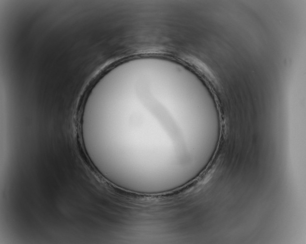 X0000093101212200709260921