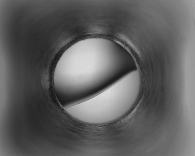 X0000093101213200709260921