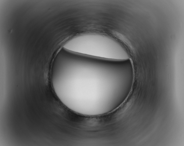 X0000093101217200709260921