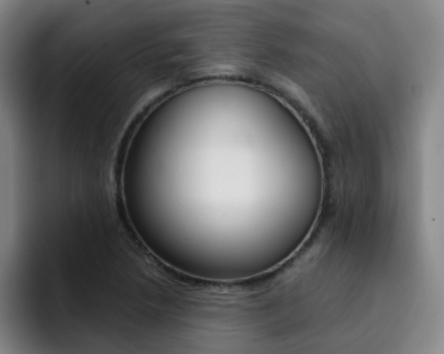 X0000093101218200709260921