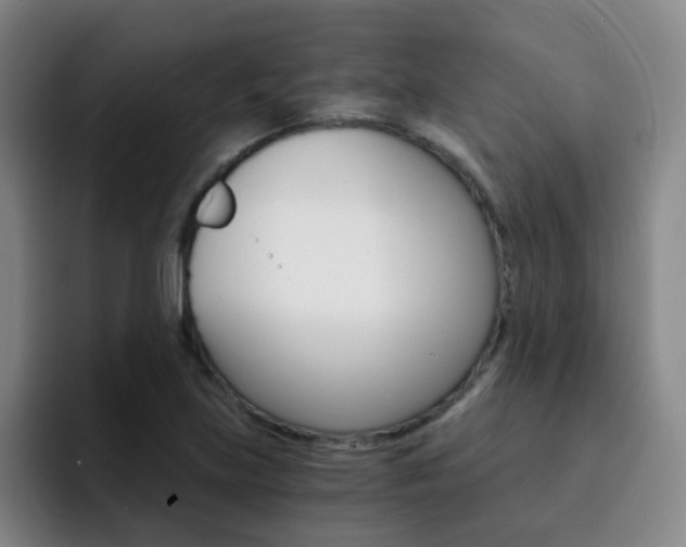 X0000093101219200709260921