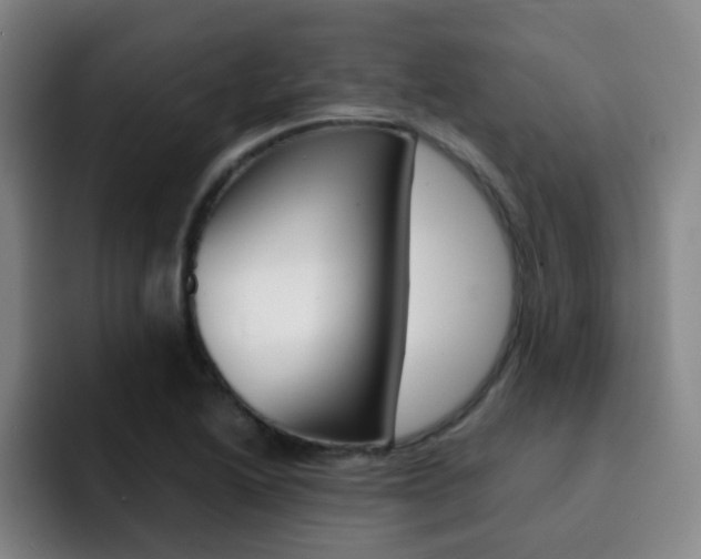 X0000093101222200709260921