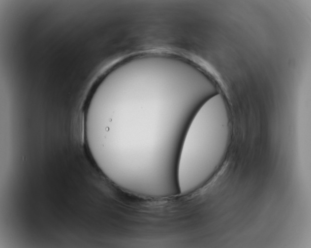 X0000093101223200709260921