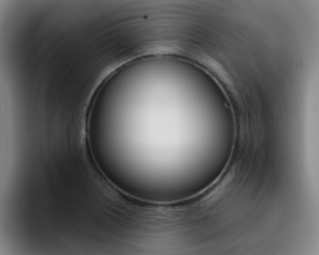 X0000093101226200709260921