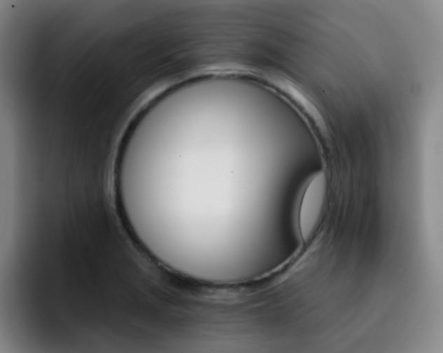 X0000093101229200709260921