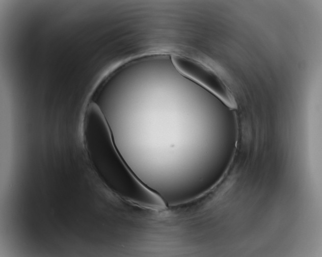 X0000093101230200709260921