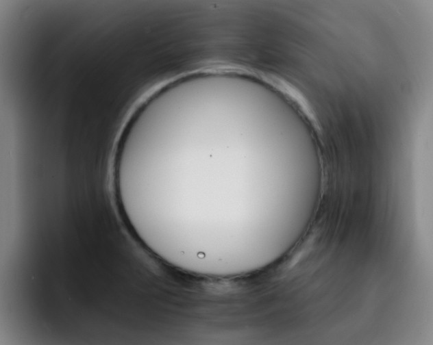 X0000093101231200709260921