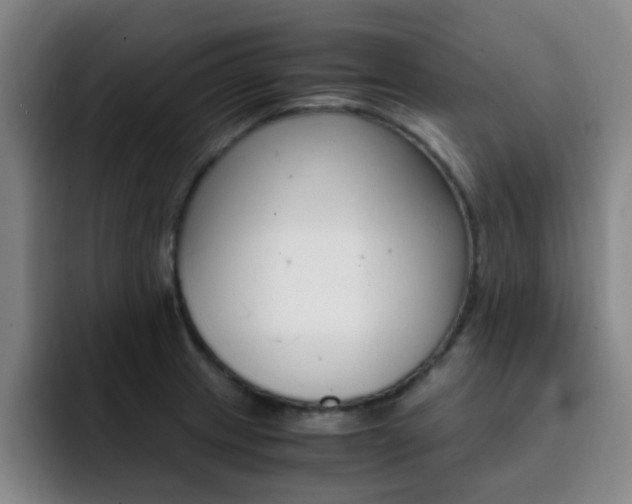 X0000093101233200709260921