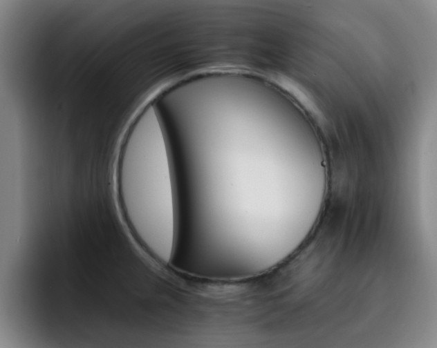 X0000093101237200709260921