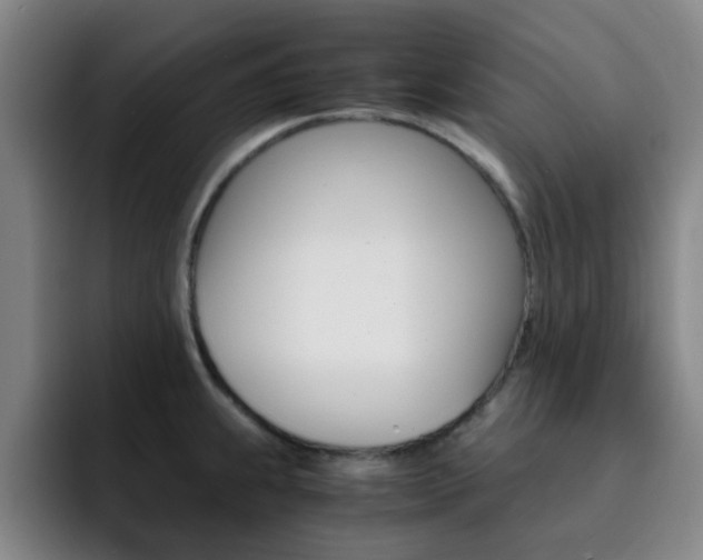 X0000093101239200709260921