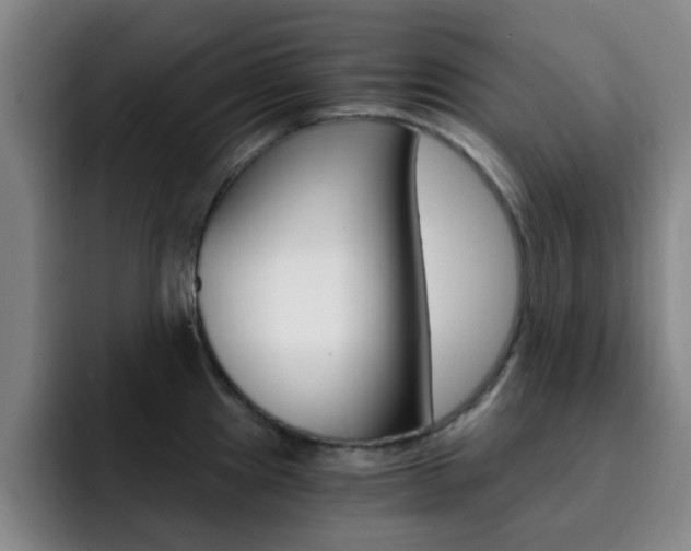 X0000093101241200709260921