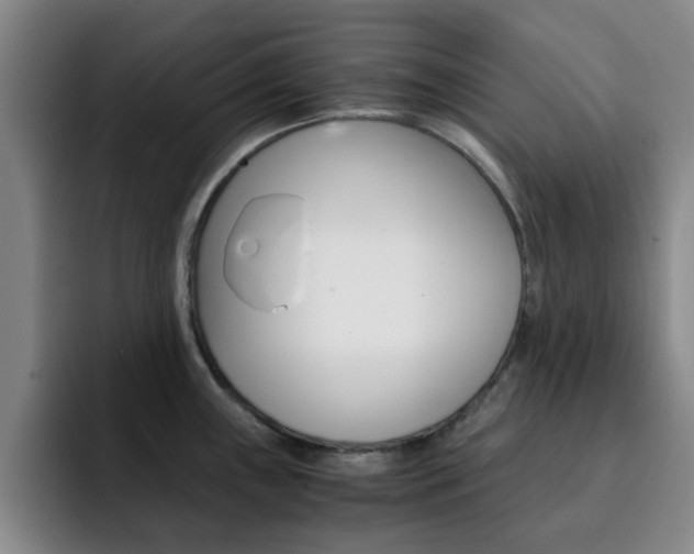 X0000093101243200709260921