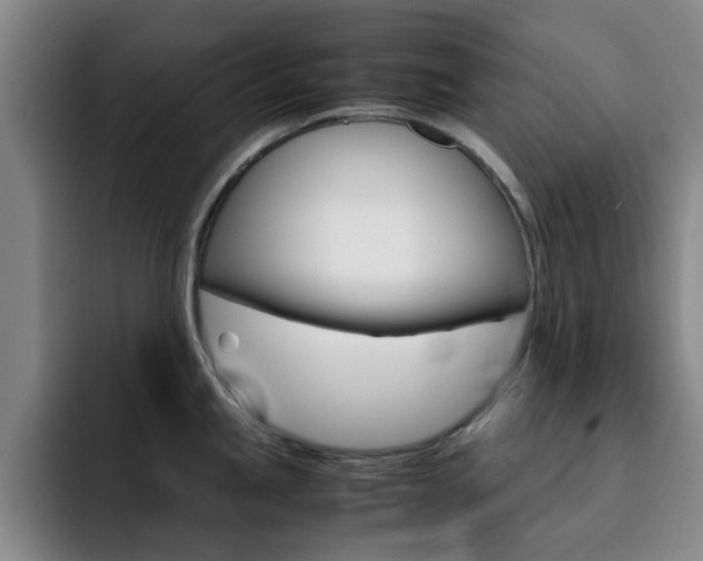 X0000093101245200709260921