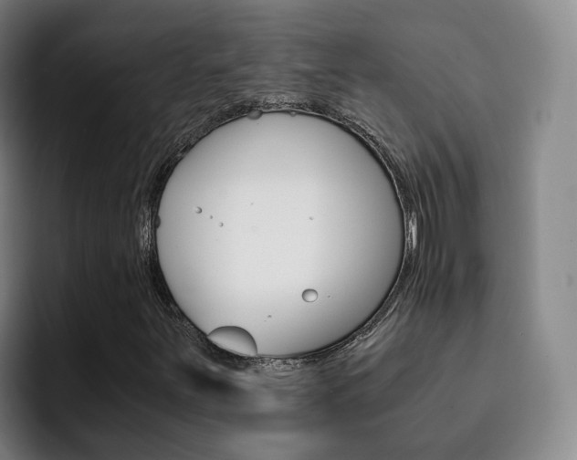 X0000093101251200709260921