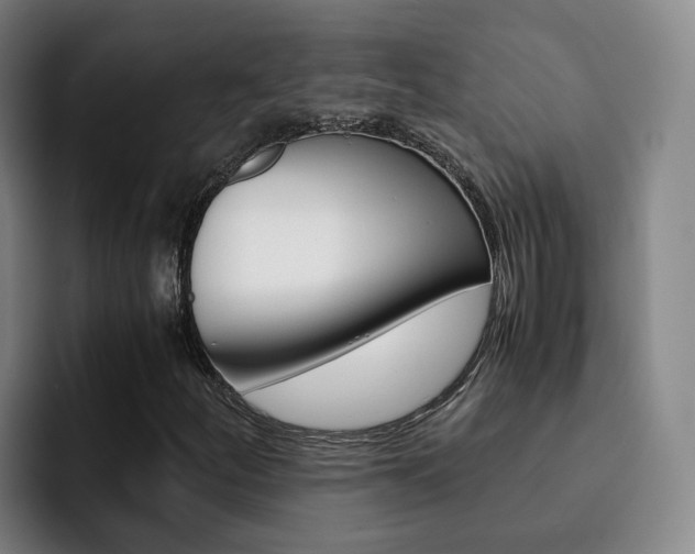 X0000093101252200709260921