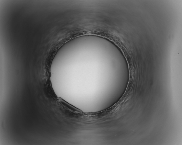 X0000093101253200709260921