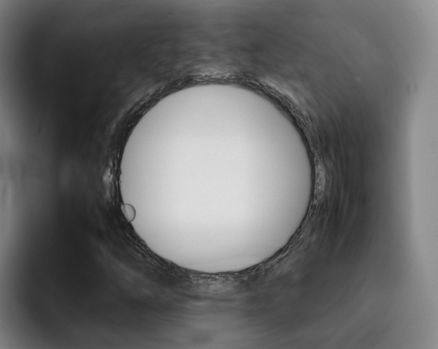 X0000093101254200709260921