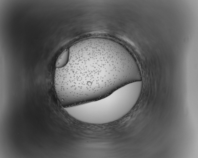 X0000093101255200709260921