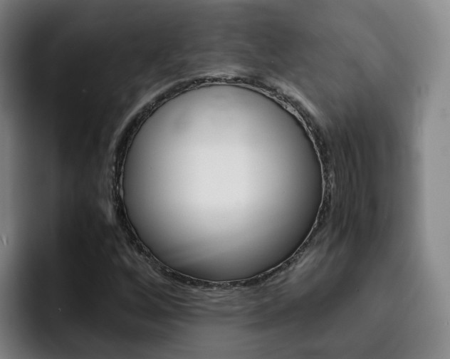 X0000093101256200709260921