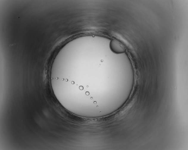 X0000093101259200709260921