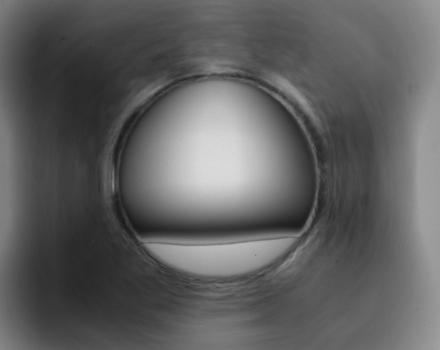X0000093101269200709260920