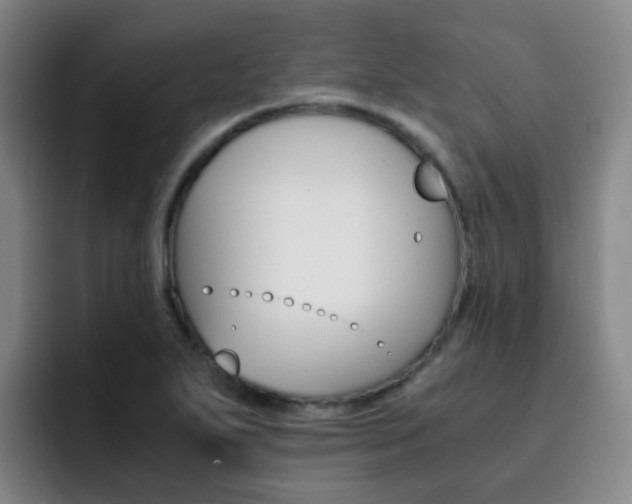 X0000093101271200709260920