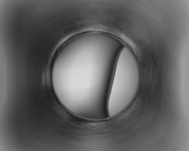 X0000093101272200709260920