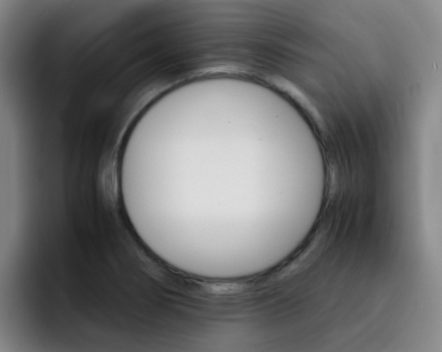 X0000093101274200709260920