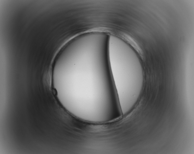 X0000093101276200709260920