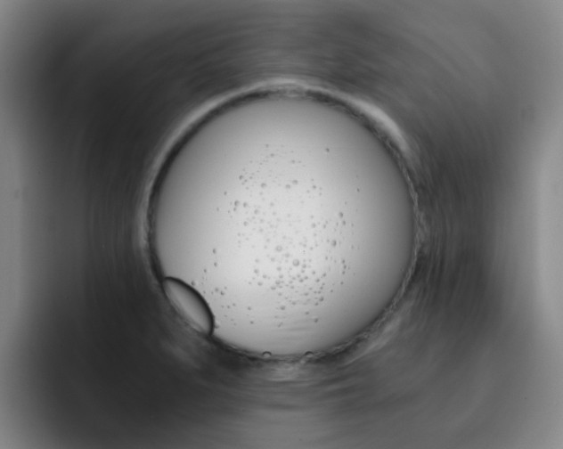 X0000093101279200709260920
