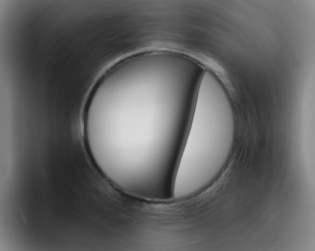 X0000093101280200709260920