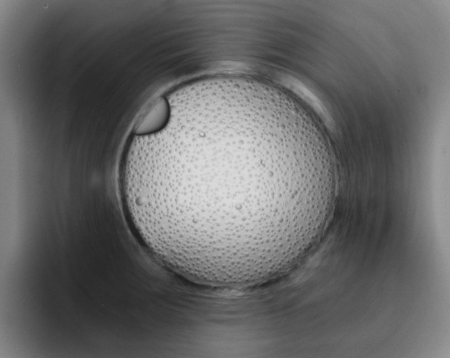 X0000093101283200709260920