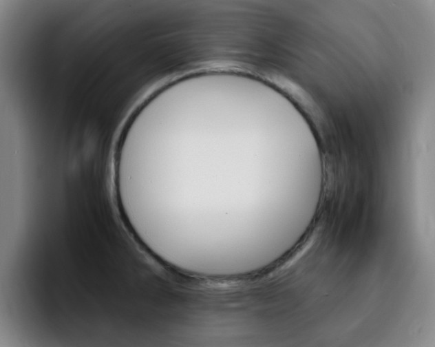 X0000093101286200709260920