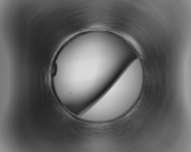 X0000093101288200709260920