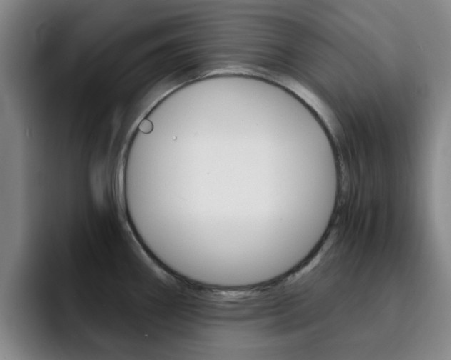 X0000093101290200709260920