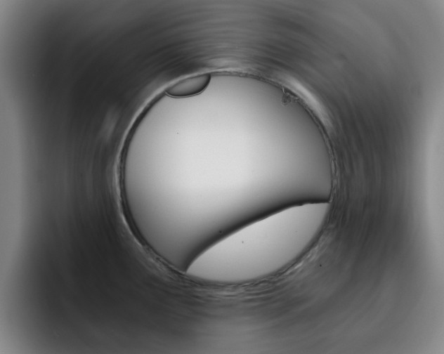 X0000093101291200709260920