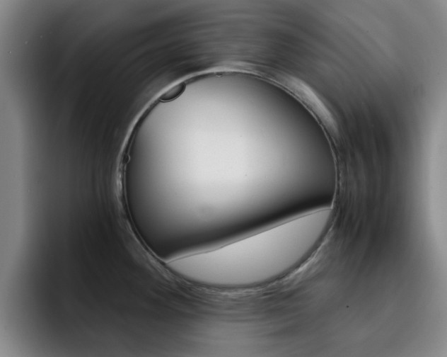 X0000093101292200709260920