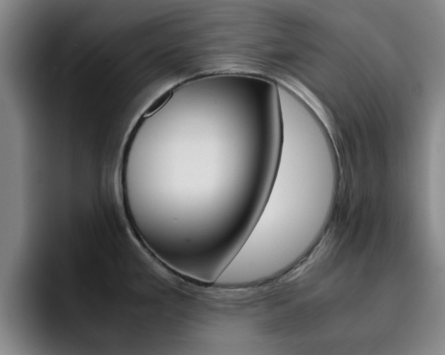 X0000093101293200709260920