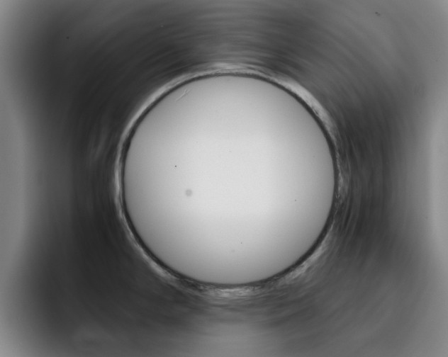 X0000093101294200709260920