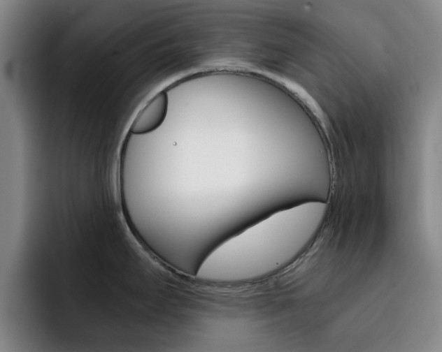 X0000093101295200709260920