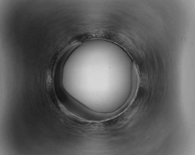 X0000093101298200709260920