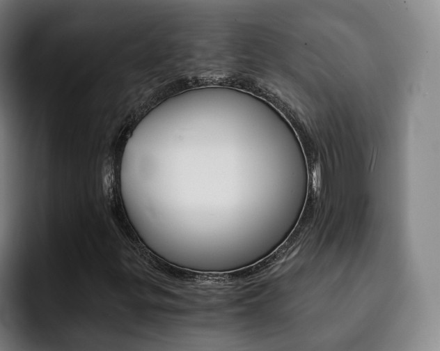 X0000093101299200709260920