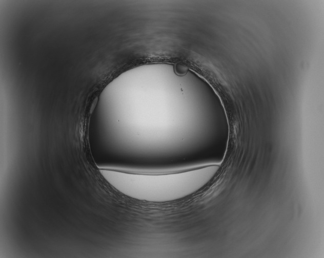 X0000093101300200709260920
