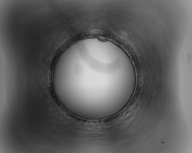 X0000093101301200709260920